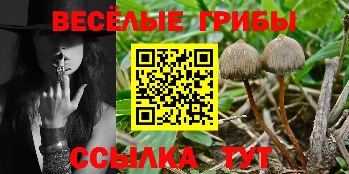 Псилоцибиновые грибы Psilocybe  Вход с VPN  Нововоронеж 