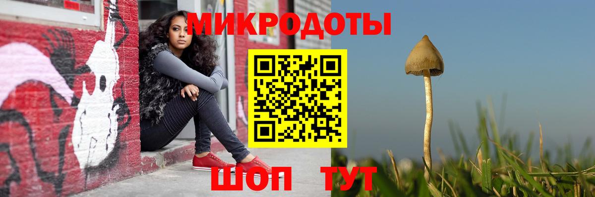 Псилоцибиновые грибы ЛСД Нововоронеж